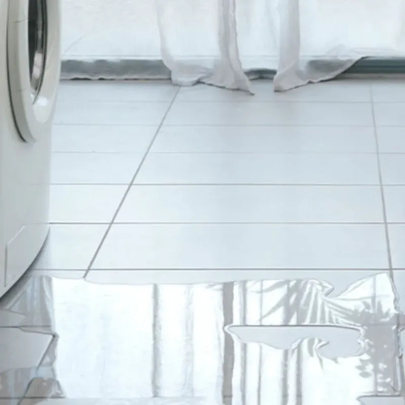 Appliance Leak Cleanup in Lunenburg County, VA