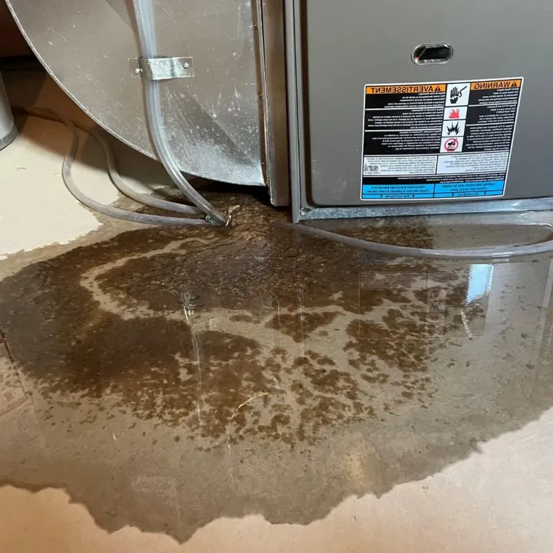 Pipe Burst and Leak Restoration in Lunenburg County, VA