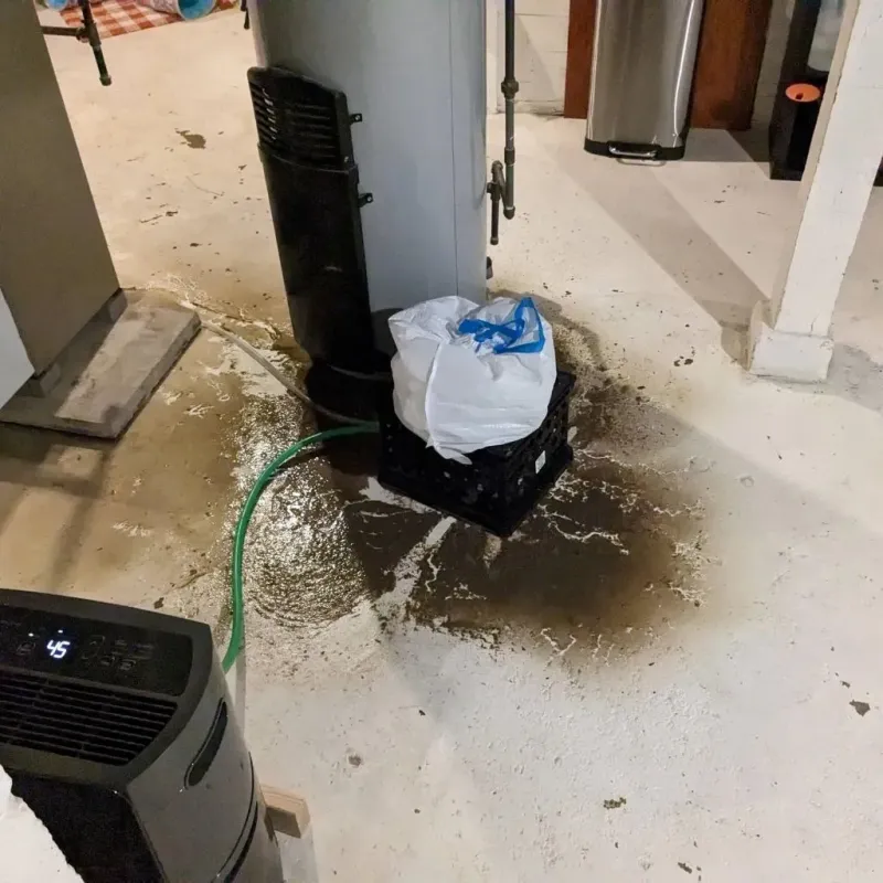 Sewage Backup Cleanup Service in Lunenburg County, VA